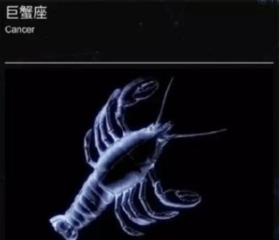為什么說巨蟹座是龍蝦座 巨蟹座是螃蟹還是小龍蝦 為什么說巨蟹座是龍蝦座 巨蟹座是螃蟹還是小龍蝦