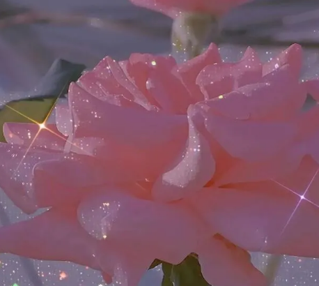 2020感恩節優美發朋友圈說說 感恩節說說感謝的話文案大全