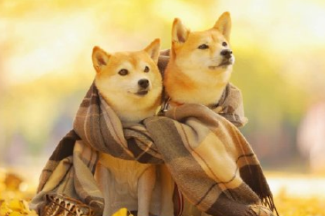 考研最后一個月心情說說 考研最后一個月心情感慨