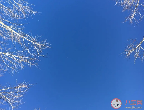 2021年新的一年你好說(shuō)說(shuō) 再見2020你好2020加油努力句子 2021年新的一年你好說(shuō)說(shuō) 再見2020你好2020加油努力句子