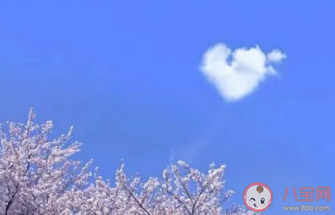 2020感恩節(jié)表達(dá)感謝經(jīng)典語(yǔ)句合集 感恩節(jié)抖音火熱短語(yǔ)句子。八寶