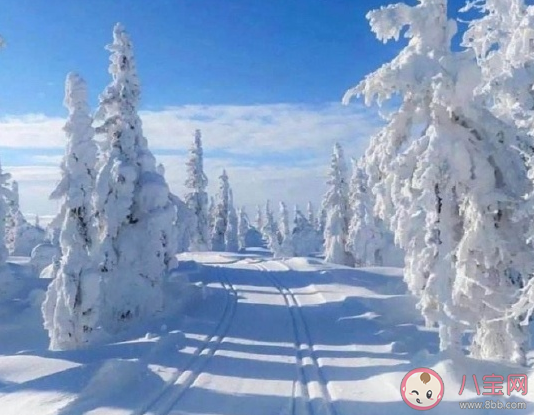 2020冬天第一場大雪心情說說 看到冬天第一場大雪文案句子 2020冬天第一場大雪心情說說 看到冬天第一場大雪文案句子