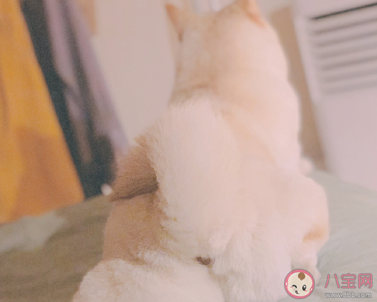 女兒長胖了搞笑說說句子 女兒長胖了搞笑句子