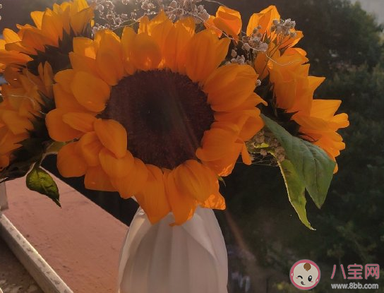 2021年第一天發(fā)朋友圈配圖文案 2021年第一天開始了感慨說說。