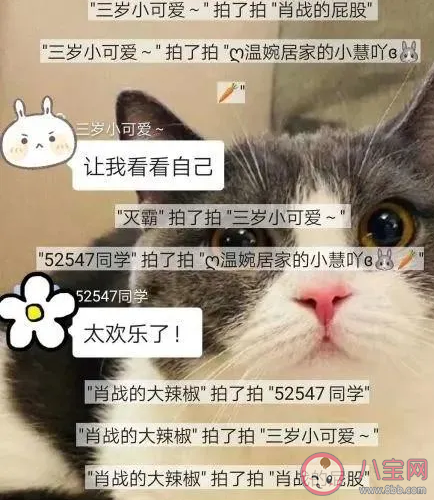 微信上面的拍一拍長恨歌后綴怎么設置 長恨歌拍一拍設置方法分享