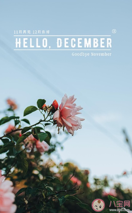 2020十一月再見(jiàn)十二月你好心情說(shuō)說(shuō) 十一月再見(jiàn)十二月你好說(shuō)說(shuō)配圖 2020十一月再見(jiàn)十二月你好心情說(shuō)說(shuō) 十一月再見(jiàn)十二月你好說(shuō)說(shuō)配圖