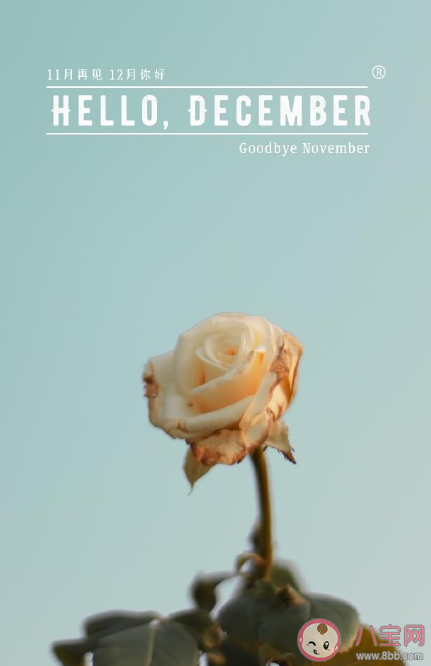 2020十一月再見(jiàn)十二月你好心情說(shuō)說(shuō) 十一月再見(jiàn)十二月你好說(shuō)說(shuō)配圖 2020十一月再見(jiàn)十二月你好心情說(shuō)說(shuō) 十一月再見(jiàn)十二月你好說(shuō)說(shuō)配圖