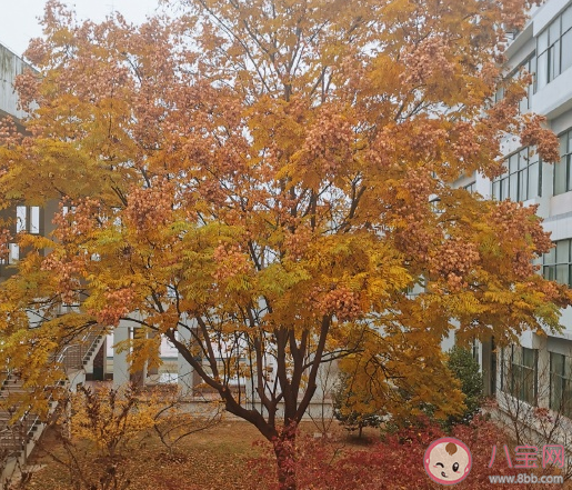 又過了一年的感慨說說 匆匆一年過去感嘆句子