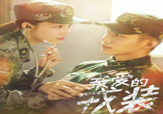 《親愛的戎裝》是根據小說改編的嗎 《親愛的戎裝》大結局是什么