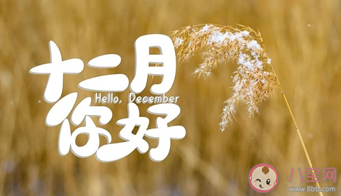 2020十一月最后一天說說句子 12月你好唯美文案