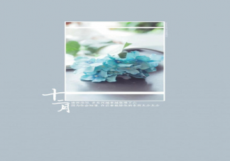 2020十二月你好早安心語朋友圈文案 十二月你好早安心語說說帶圖片