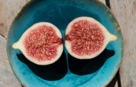 無花果為什么被叫做無花果 螞蟻莊園11月30日答案