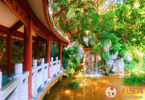 2020不尋常的一年的感言朋友圈 2020不尋常的一年總結說說 2020不尋常的一年的感言朋友圈 2020不尋常的一年總結說說