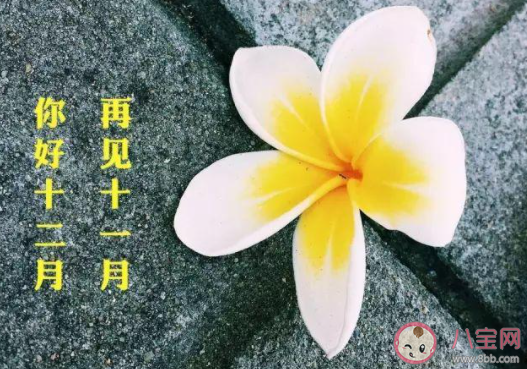 12月第一天給自己加油打氣的說說 12月第一天加油努力的勵志說說