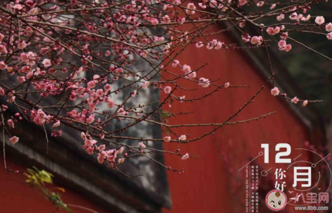 12月你好簡單一句話的朋友圈說說 12月你好的簡短心情說說大全 12月你好簡單一句話的朋友圈說說 12月你好的簡短心情說說大全