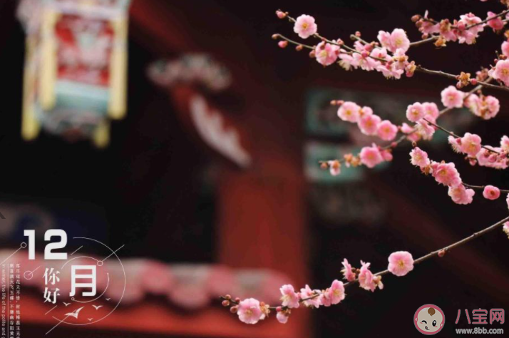 12月你好簡單一句話的朋友圈說說 12月你好的簡短心情說說大全 12月你好簡單一句話的朋友圈說說 12月你好的簡短心情說說大全