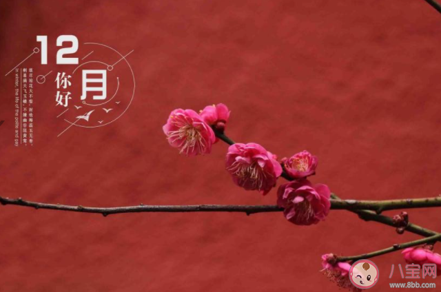 12月你好簡單一句話的朋友圈說說 12月你好的簡短心情說說大全 12月你好簡單一句話的朋友圈說說 12月你好的簡短心情說說大全