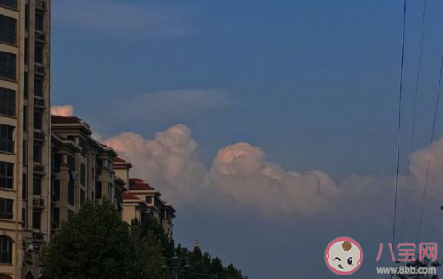 2021治愈人心的溫暖句子 正能量的治愈句子大全 2021治愈人心的溫暖句子 正能量的治愈句子大全