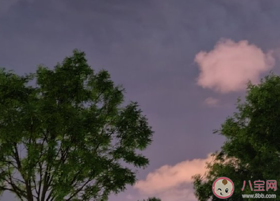 2020最后一個(gè)月十二月加油說(shuō)說(shuō) 11月再見(jiàn)十二月你好最新經(jīng)典文案 2020最后一個(gè)月十二月加油說(shuō)說(shuō) 11月再見(jiàn)十二月你好最新經(jīng)典文案