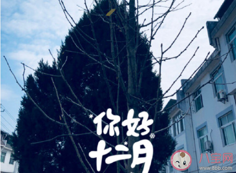 2020最后1個(gè)月的朋友圈文案說說 2020最后1個(gè)月發(fā)朋友圈感受句子