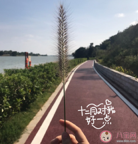 2020最后1個(gè)月的朋友圈文案說說 2020最后1個(gè)月發(fā)朋友圈感受句子