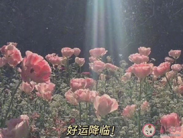 2021你好發朋友圈文案句子 2021你好圖片帶字說說大全 2021你好發朋友圈文案句子 2021你好圖片帶字說說大全