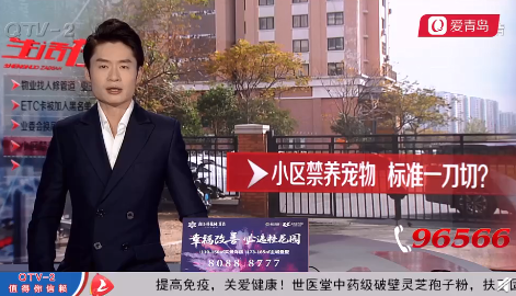 青島一小區(qū)全面禁養(yǎng)寵物怎么回事 你支持這個(gè)做法嗎