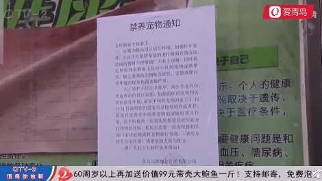 青島一小區(qū)全面禁養(yǎng)寵物怎么回事 你支持這個(gè)做法嗎