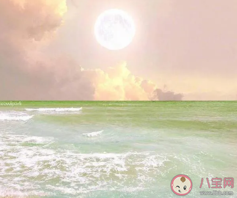 終于出去旅游的曬朋友圈說(shuō)說(shuō) 好久沒(méi)出來(lái)旅游了心情感慨