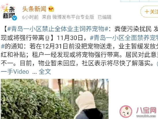 小區全面禁養寵物合理嗎 小區哪些狗不能養