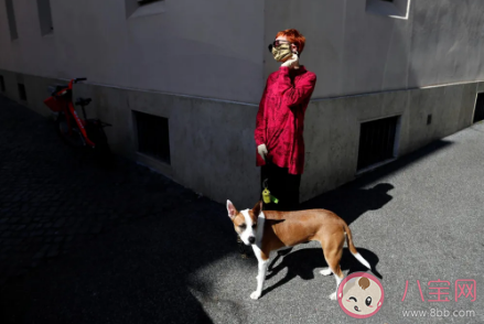 小區全面禁養寵物合理嗎 小區哪些狗不能養