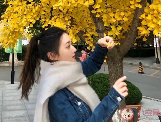 冬天的第一條圍巾朋友圈文案 冬天的第一條圍巾溫暖語錄