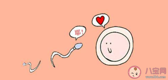 轉胎丸是什么 轉胎丸有什么危害