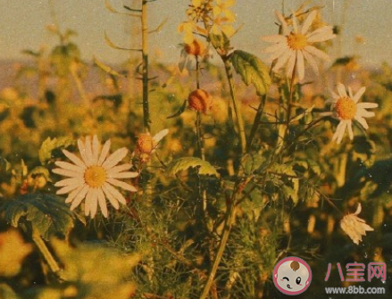 你好12月正能量勵志句子  12月積極健康的說說