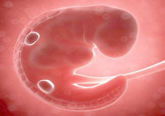 轉(zhuǎn)胎丸是什么 轉(zhuǎn)胎丸有什么危害