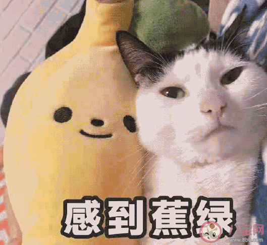 女兒考上公務員怎么發朋友圈 女兒考上公務員的感言 女兒考上公務員怎么發朋友圈 女兒考上公務員的感言