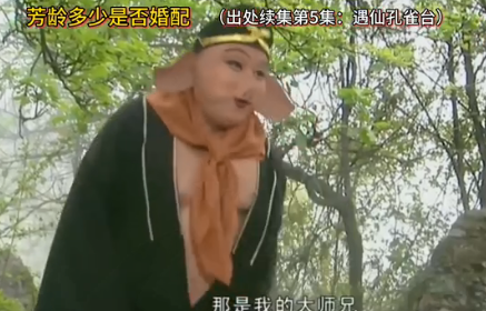 西游記豬八戒經典語錄出處 豬八戒哪句臺詞印象最深 西游記豬八戒經典語錄出處 豬八戒哪句臺詞印象最深
