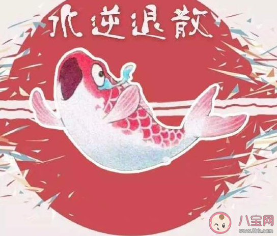 考研上岸了發的朋友圈文案 成功上岸的心情感言一句話 考研上岸了發的朋友圈文案 成功上岸的心情感言一句話