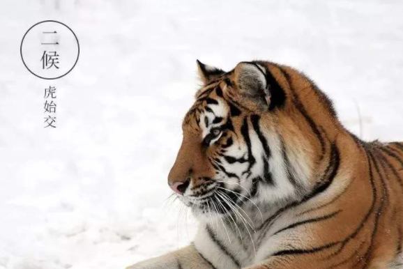 2020大雪三候是什么 2020大雪節(jié)氣是幾月幾日