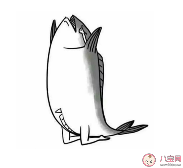 九漏魚是什么意思 九漏魚是什么梗