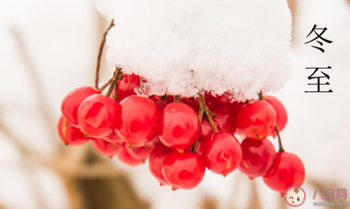 2020冬至節氣圖片發朋友圈暖心祝福語 2020冬至祝福語圖片問候句子 2020冬至節氣圖片發朋友圈暖心祝福語 2020冬至祝福語圖片問候句子