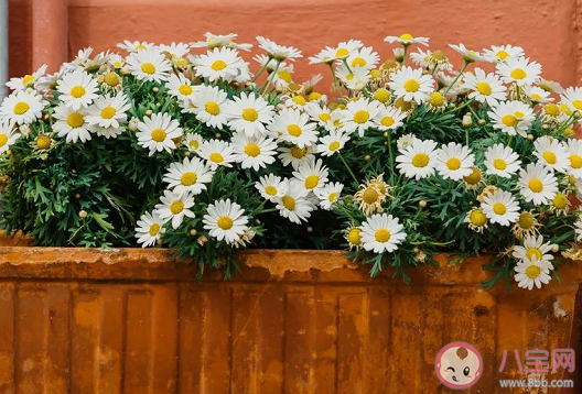 不斷流失生活感的原因是什么 怎么樣提升生活里的幸福感