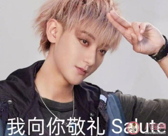 我向你敬禮salute是什么梗 我向你敬禮salute梗的出處是什么 我向你敬禮salute是什么梗 我向你敬禮salute梗的出處是什么