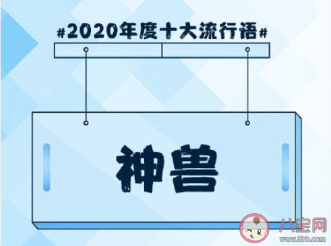 2020年度十大流行語盤點 《咬文嚼字》2020年度十大流行語合集