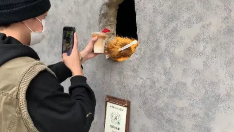 上海熊掌咖啡店怎么火的 遞咖啡的熊掌干凈嗎
