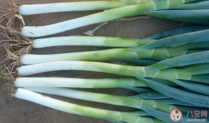 冬季養(yǎng)生適合吃的食物大全2020 冬季養(yǎng)生適合吃的食物有哪些 冬季養(yǎng)生適合吃的食物大全2020 冬季養(yǎng)生適合吃的食物有哪些