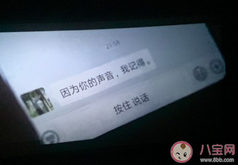 《如果聲音不記得》影評感受美篇 《如果聲音不記得》觀后感體會大全