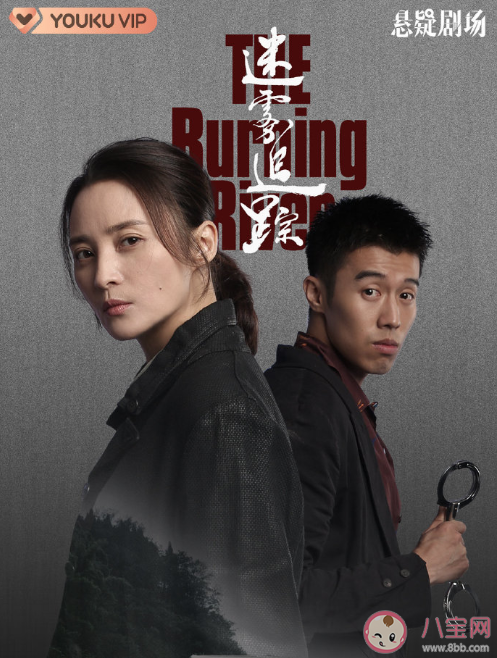 《迷霧追蹤》是根據(jù)小說(shuō)改編的嗎 《迷霧追蹤》有感情線(xiàn)嗎