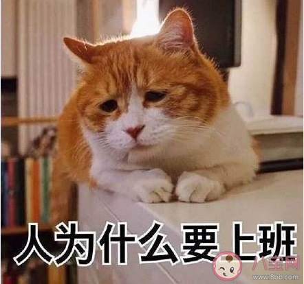 為什么年輕人不愛加班 年輕人不愿意加班是不上進嗎 為什么年輕人不愛加班 年輕人不愿意加班是不上進嗎