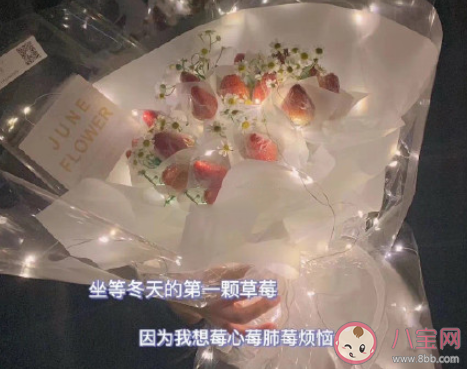 冬天第一顆草莓是什么梗 冬天第一顆草莓梗的出處是什么